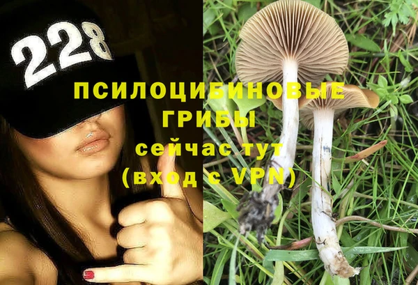 PSILOCYBIN Беломорск